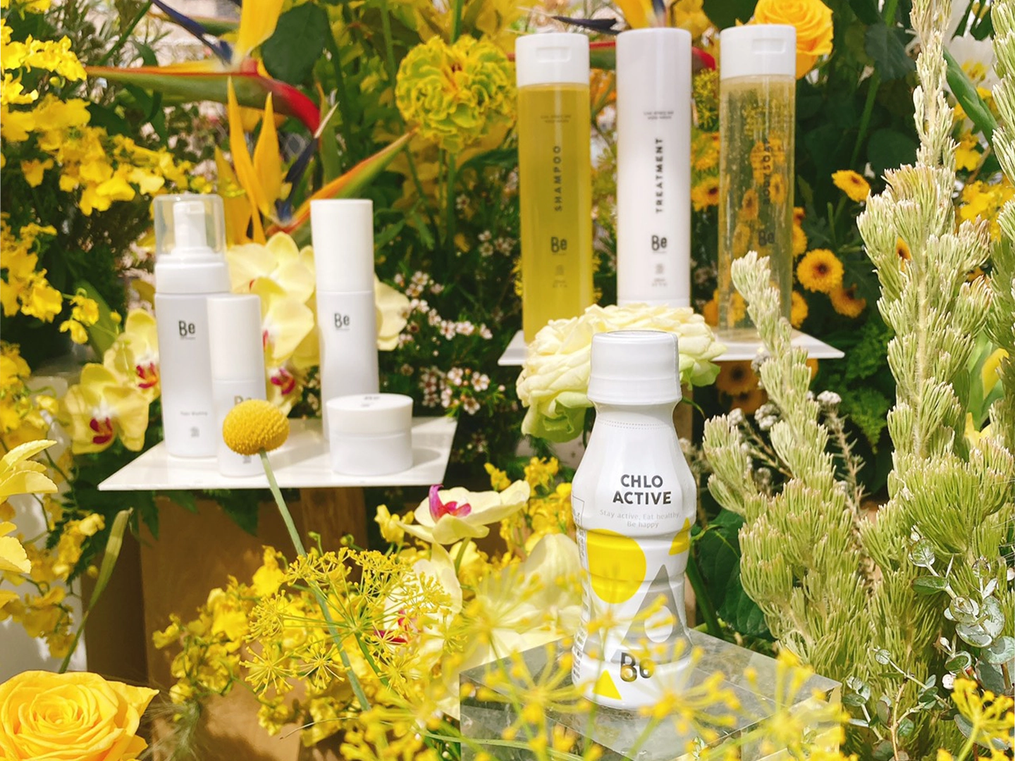 アースデイ東京の様子5